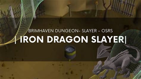 iron dragon osrs|osrs iron dragons brimhaven.